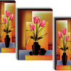 Set Of 3