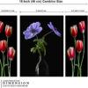 Set Of 3 - Image 2